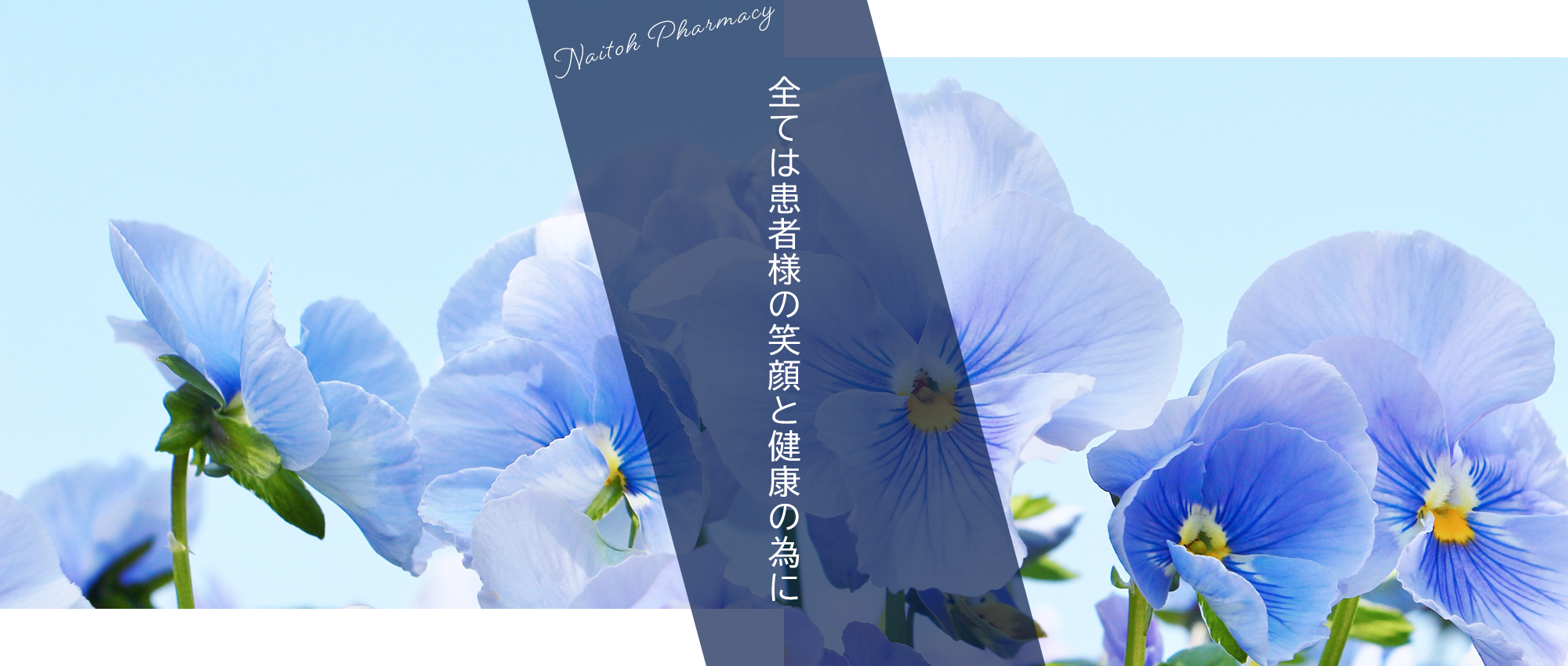 甲府市飯田、飯田三丁目停留所、調剤薬局